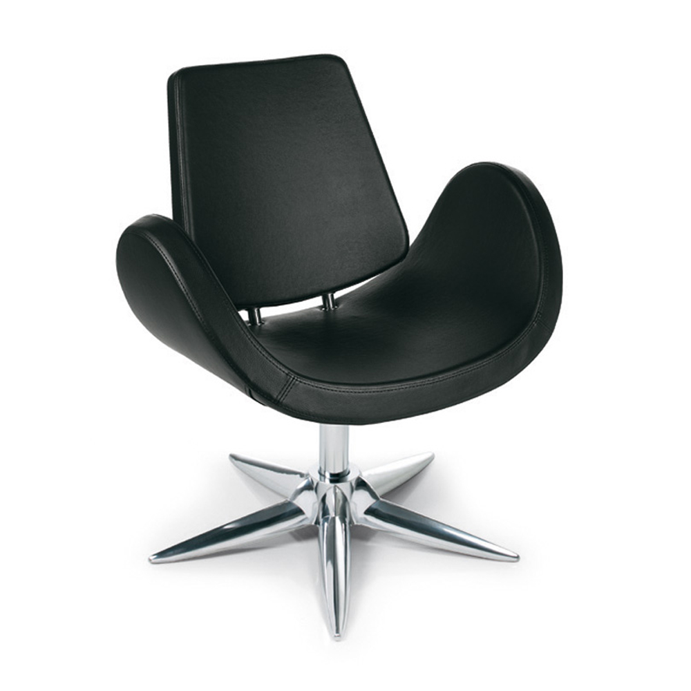 Кресло парикмахерское "ALIPES CHAIR"