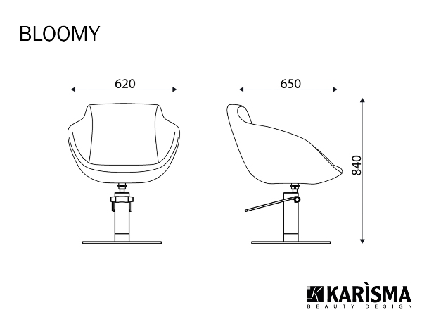Кресло парикмахерское "BLOOMY" — изображение 2